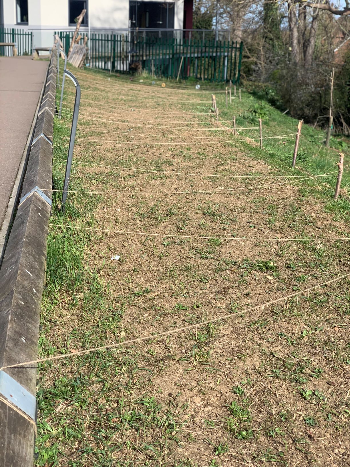 Photo of the wildflower garden