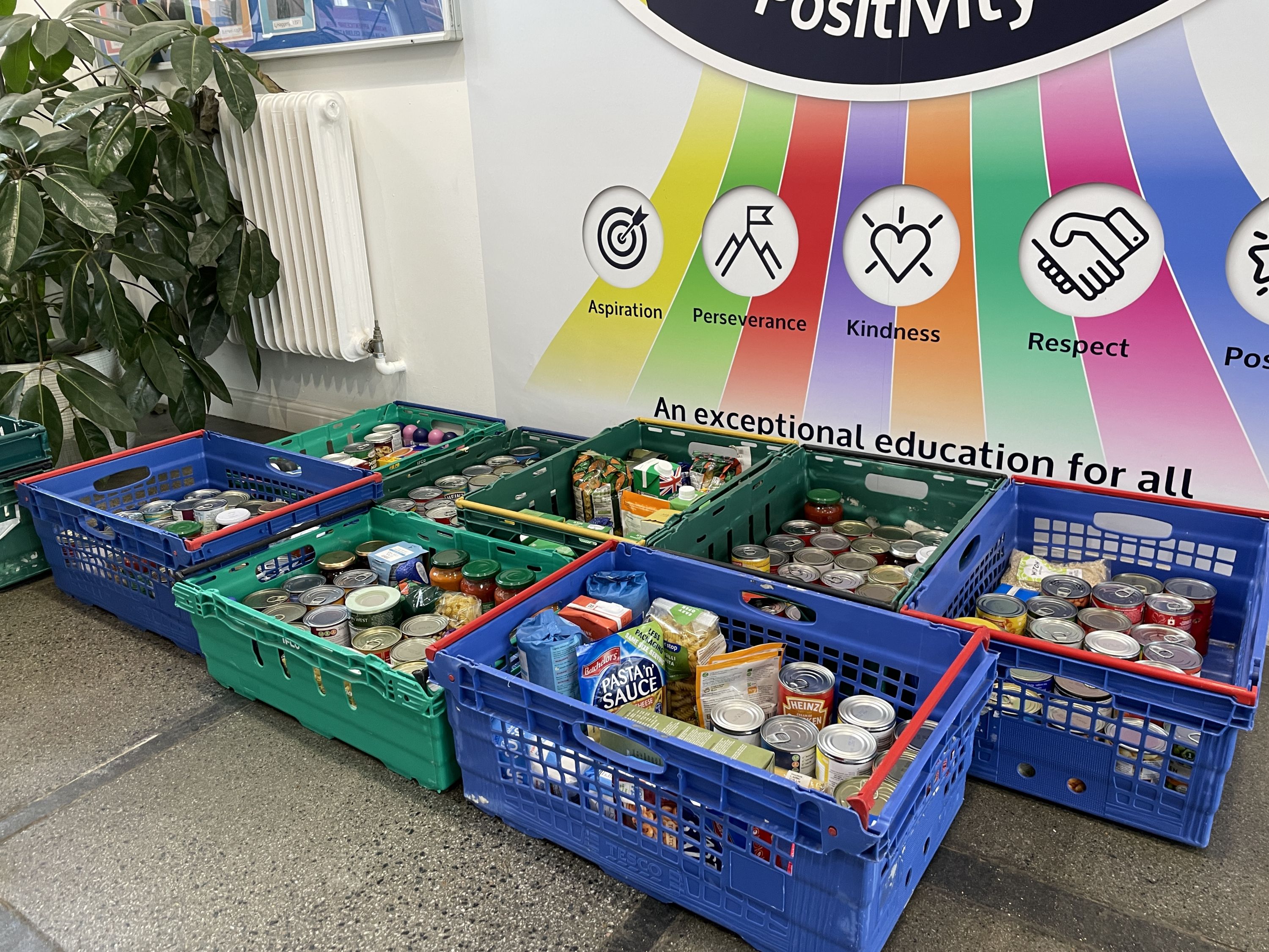 Photo of food drive food collected