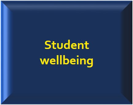 Button: Student wellbeing