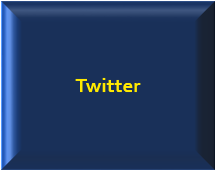 Button: Twitter