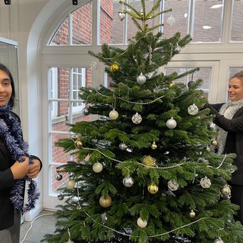 DecoratingtheXMasTree2022B1222