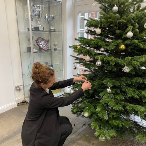 DecoratingtheXMasTree2022C1222