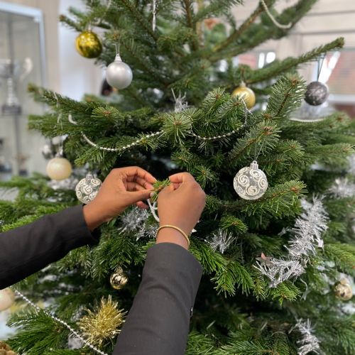 DecoratingtheXMasTree2022E1222
