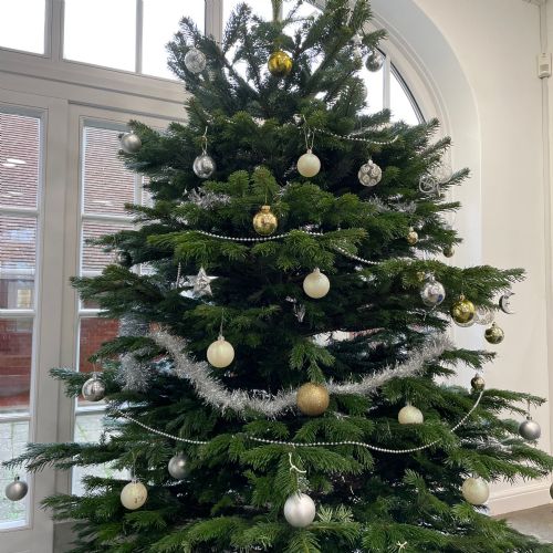 DecoratingtheXMasTree2022G1222