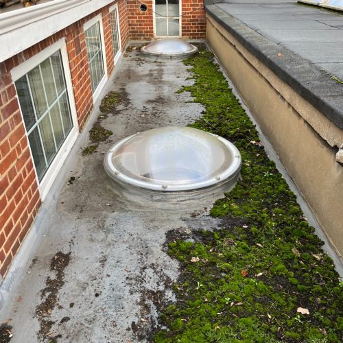SiteTeamRoofRestoration12023