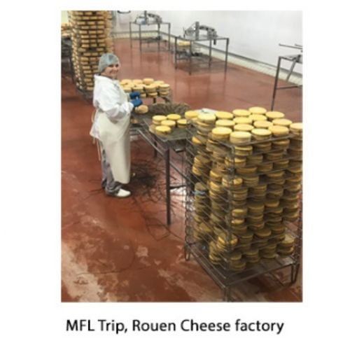 Cheesefactory
