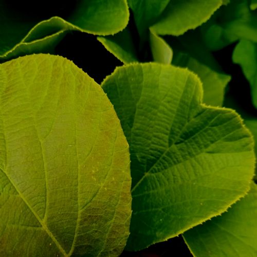 PhotographyClubKS3Week1SurfaceTextures40623