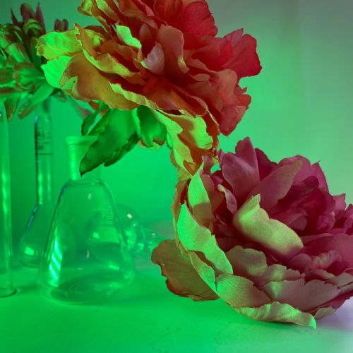 PhotographyClubKS3Week4StillLife50623