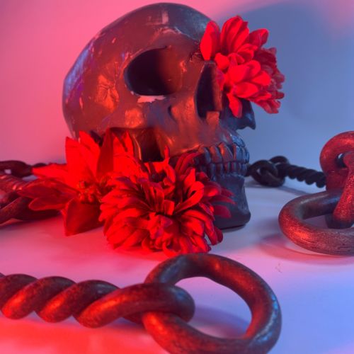 PhotographyClubKS3Week4StillLife60623