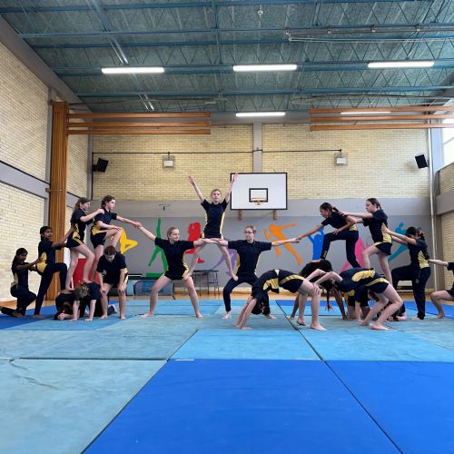 Gym Competition 2024