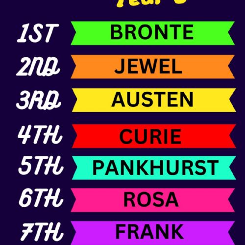 GymCompetitionYear8Results0324