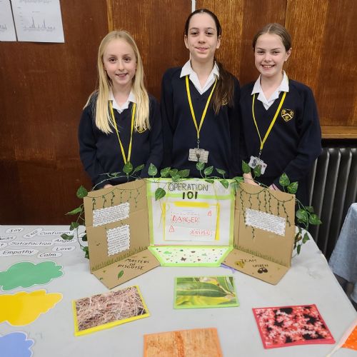 Years 7 & 8 Science Fair