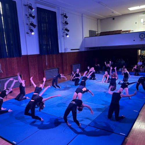 GymDanceDisplay480724