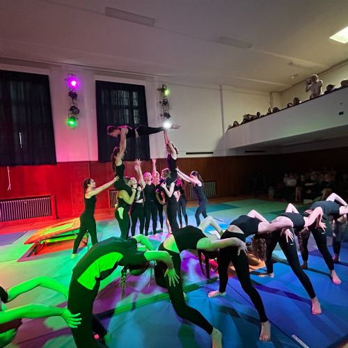 GymDanceDisplay530724