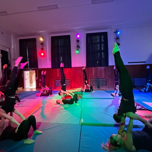 GymDanceDisplay550724