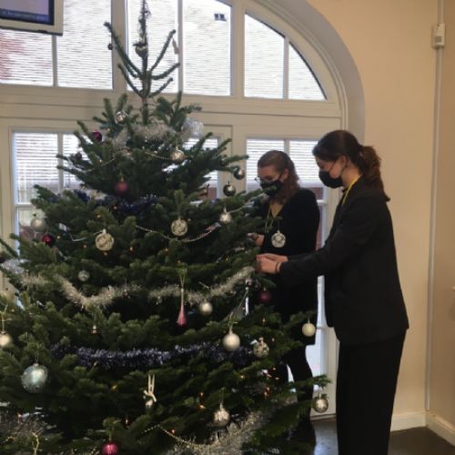 ChristmasTree20215