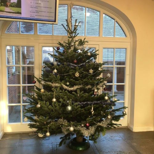 ChristmasTree20218
